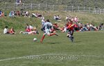 IMG_2724
